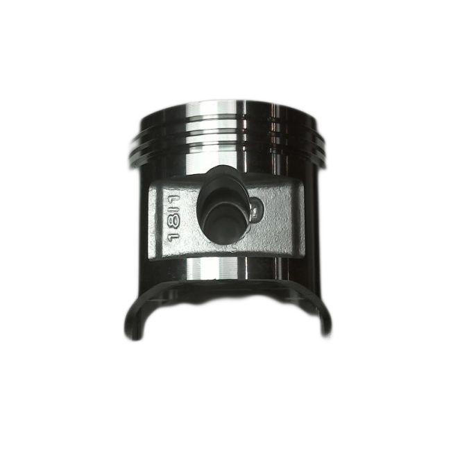OMEGA 111.1.0005.00.04