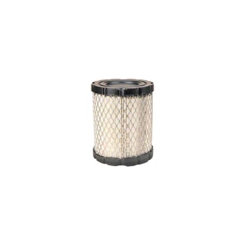 FILTRO AIRE BRIGGS & STRATTON , DIAM. 102 MM X H- 121 MM  794935, 798897, 21551500