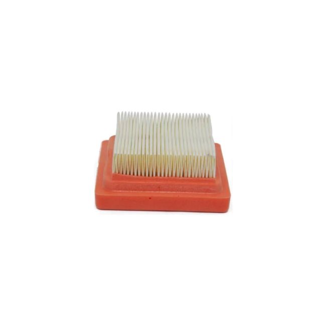 FILTRO AIRE OLEOMAC  61450425R