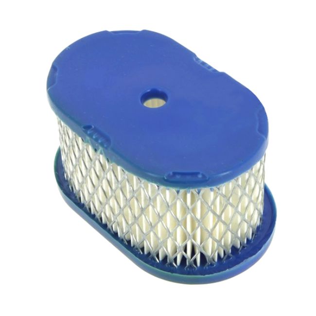 FILTRO AIRE BRIGGS & STRATTON EUROPE, QUANTUM