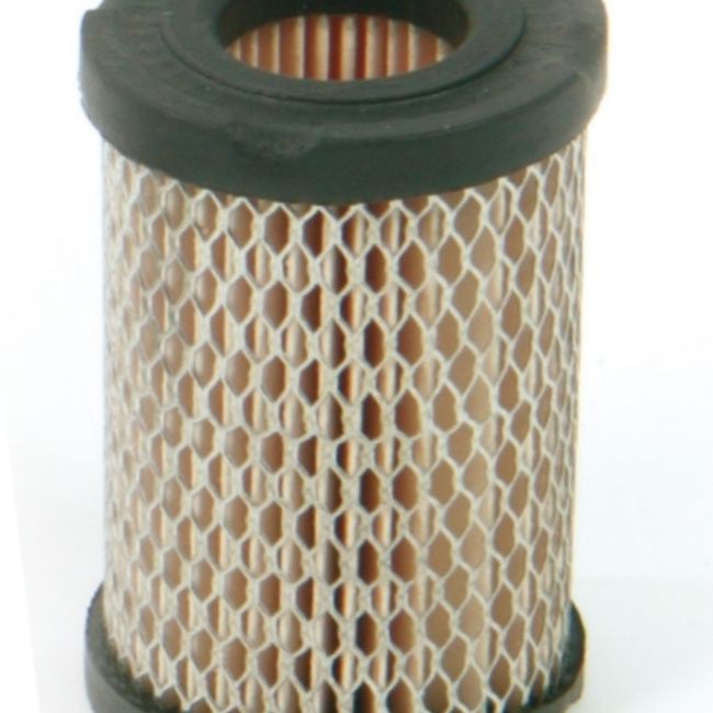 FILTRO AIRE TECUMSEH ECV, H35, TC, TVS