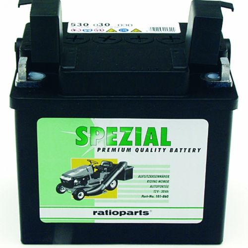 BATERIA CON MANTENIMIENTO 30 A