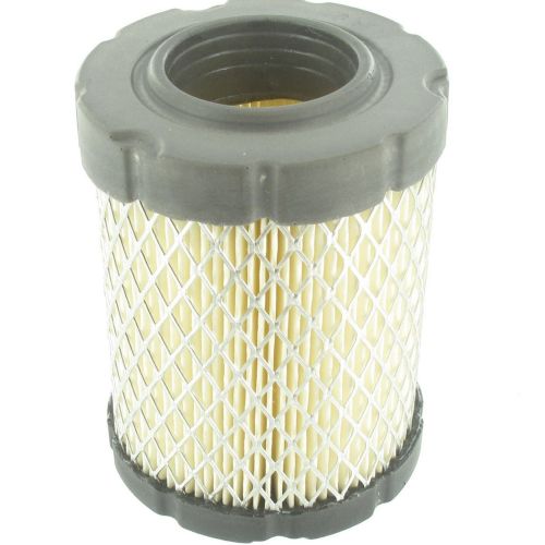 FILTRO AIRE BSG BY OMEGA, MC CULLOCH, MTD 1484B, M12597TC, RC125