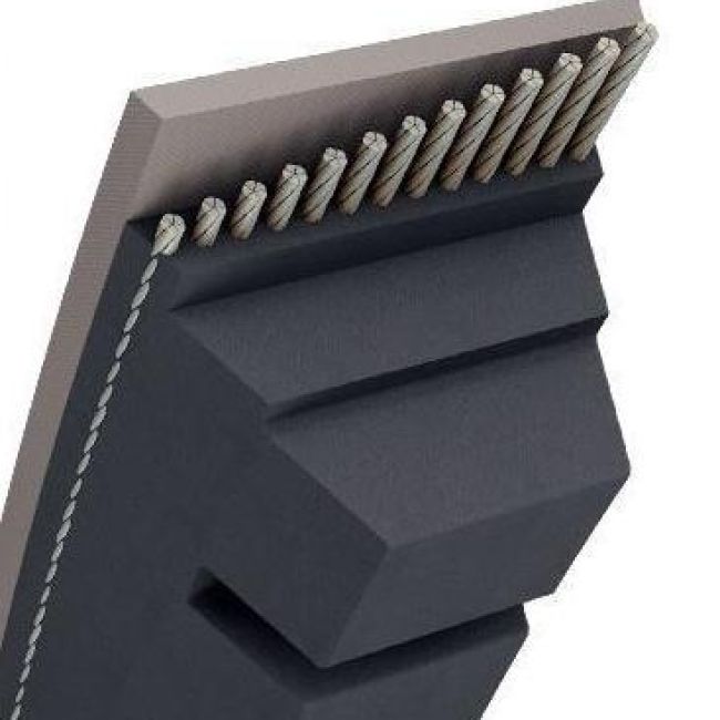 CORREA - AX30