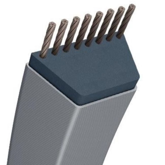 CORREA TRAP TRAD -ESPECÍFICA- 12,7X17017X1701MM