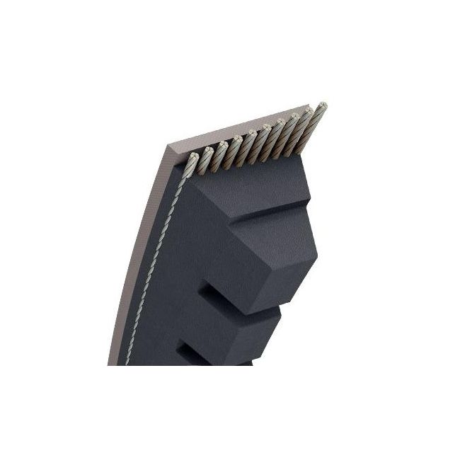 CORREA - XPA1232