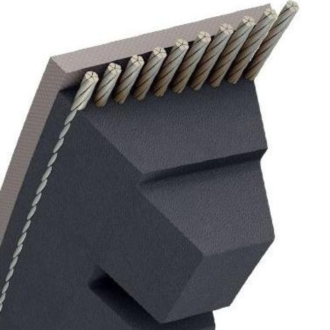 CORREA DENTADA ROQUES&LECOEUR 230, 240, 250, 340, 350, 400