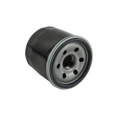 FILTRO ACEITE LONCIN 150820001T390