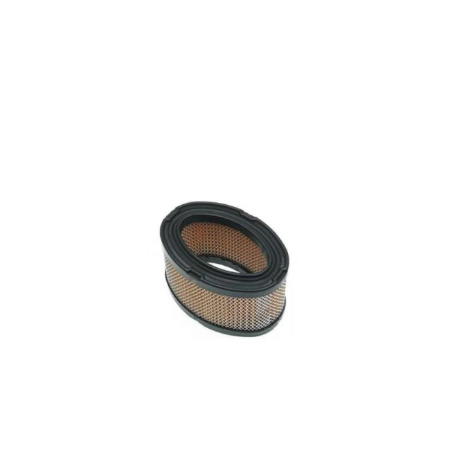 FILTRO AIRE TECUMSEH 33268, M49746