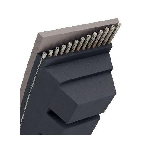 CORREA TRAPEZ.C/MUESCAS-17X11MM -BX 81- 17 X 2124MM